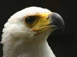 Die Bilder hab ich mit meiner Digtal Video Camera  aufgenommen. Panasonic NV-MX7EG